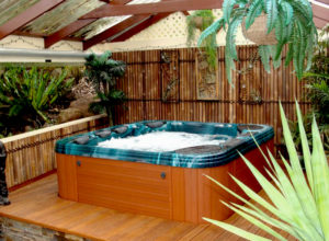 Spa pool heater